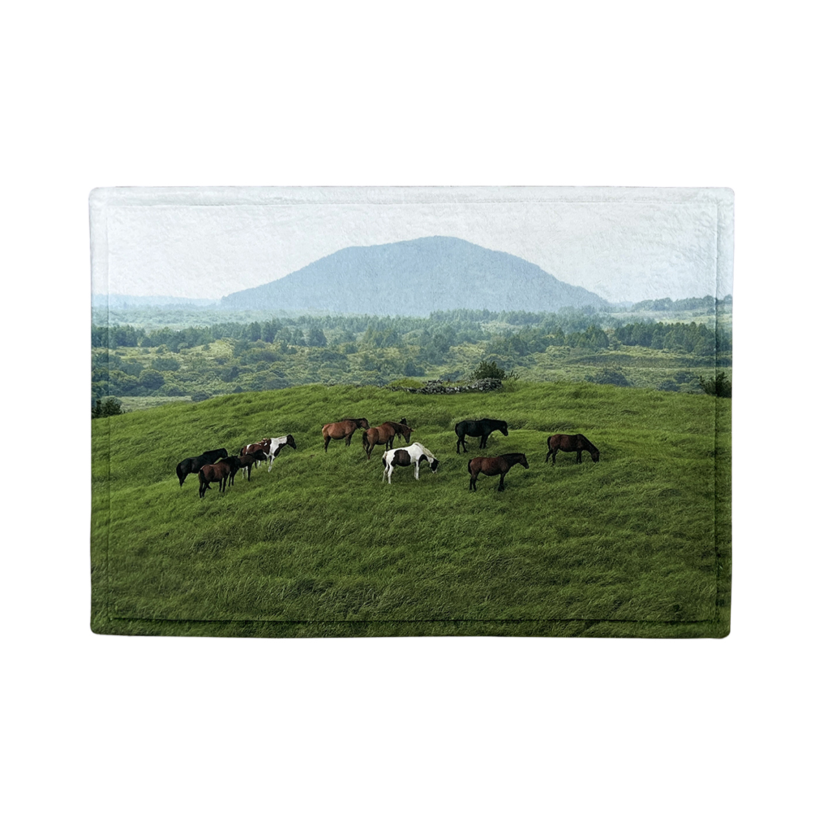 JEJU mountain horse mini rug